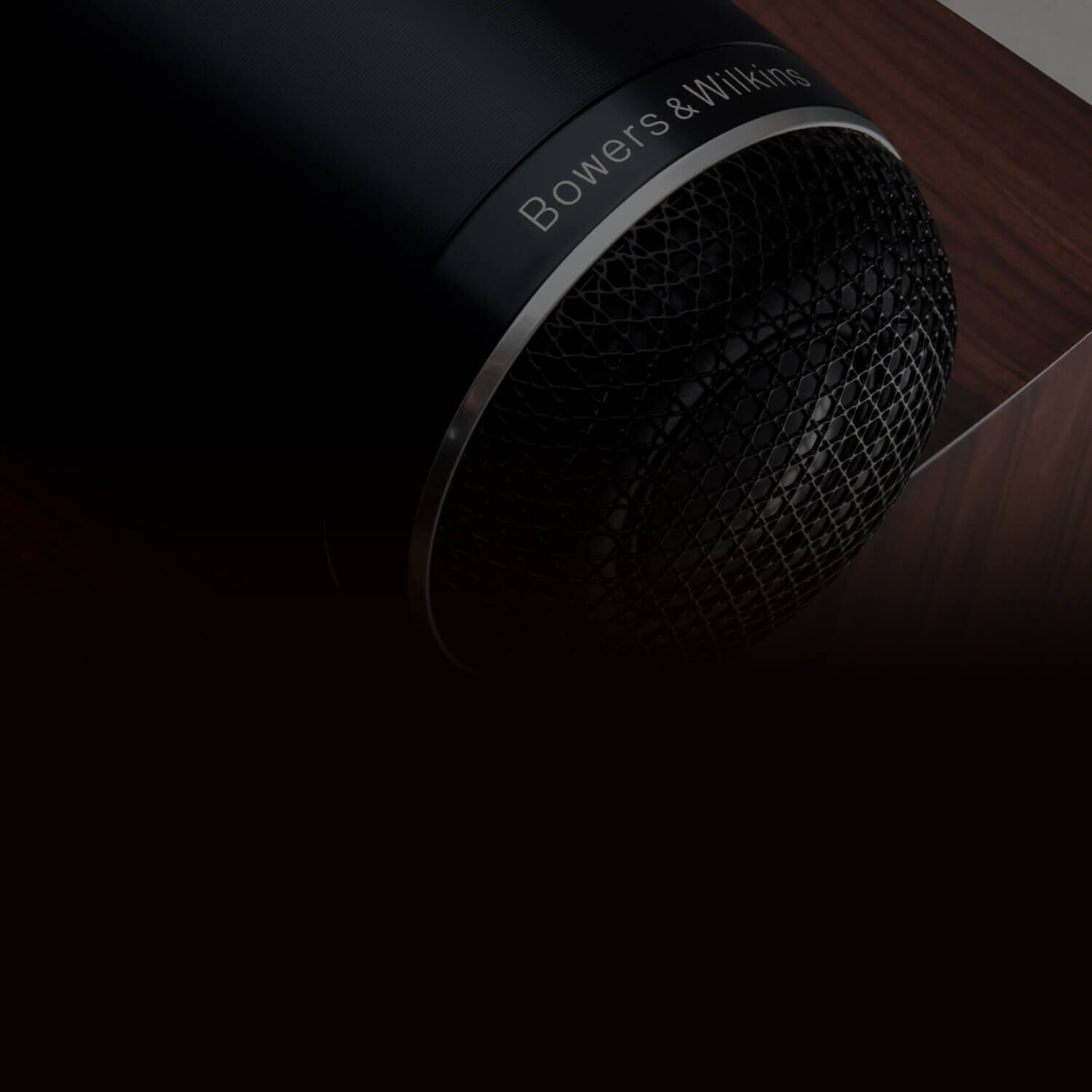 Dedicated to True Sound - close up of brown speaker
