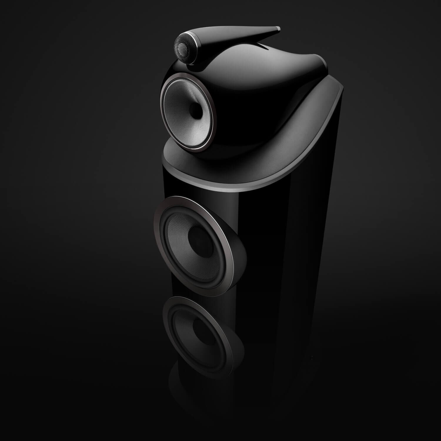 Dedicated to True Sound - one black 800 series closeup
