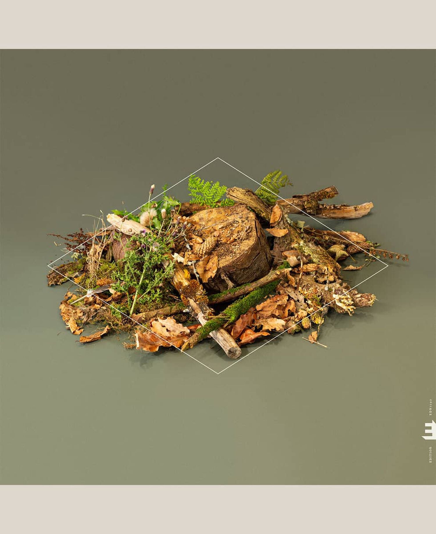 Sticks and leaves in a pile with olive green background