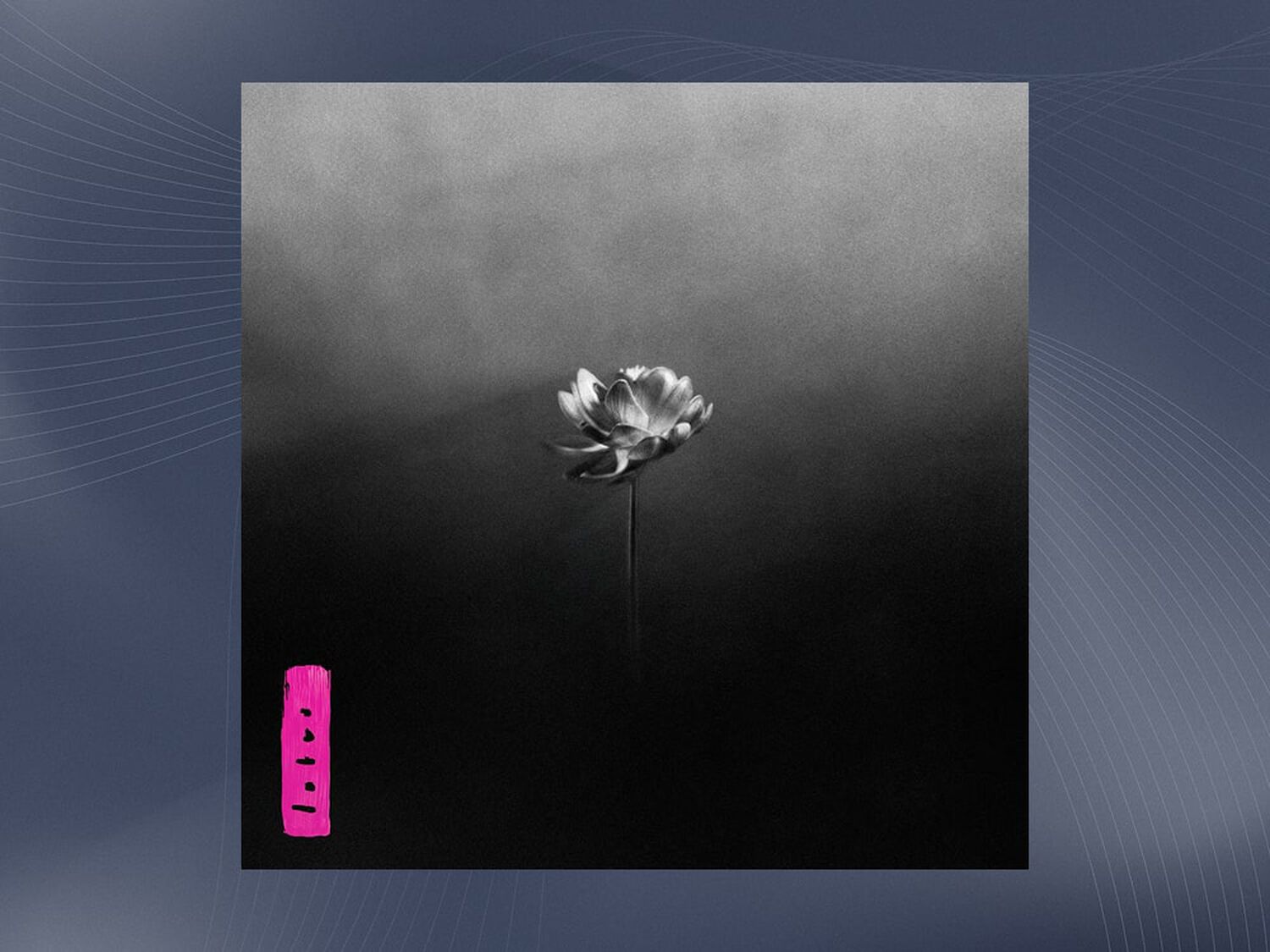 Black and white flower with white to black gradient background