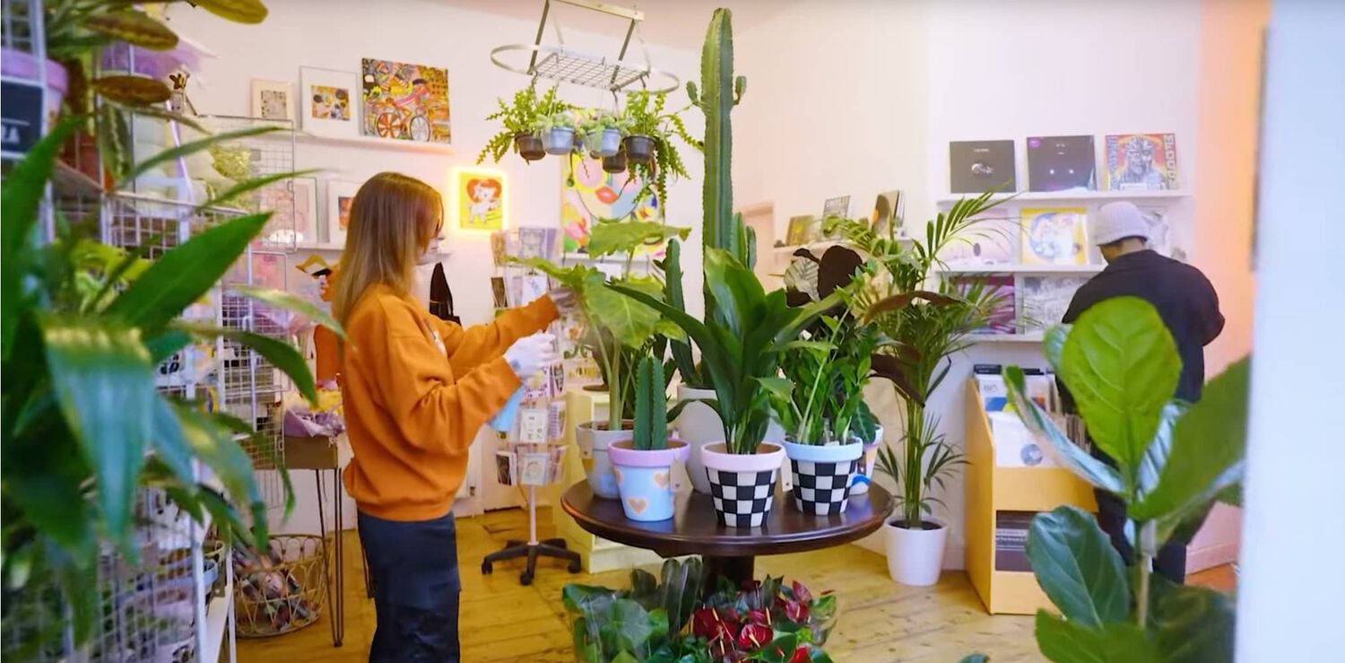 Potted plants inside record store