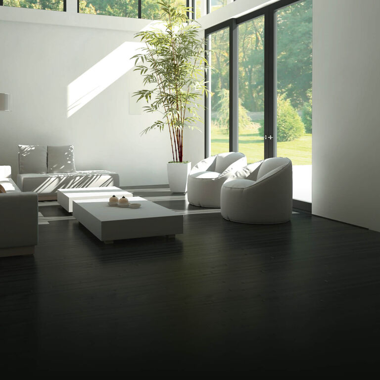 Home Audio