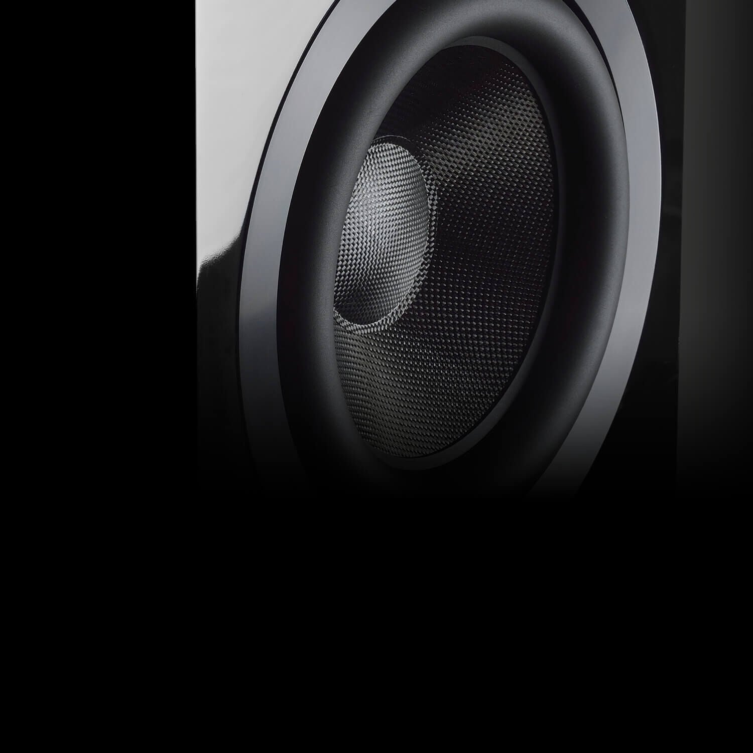 Dedicated to True Sound - closeup of a speaker