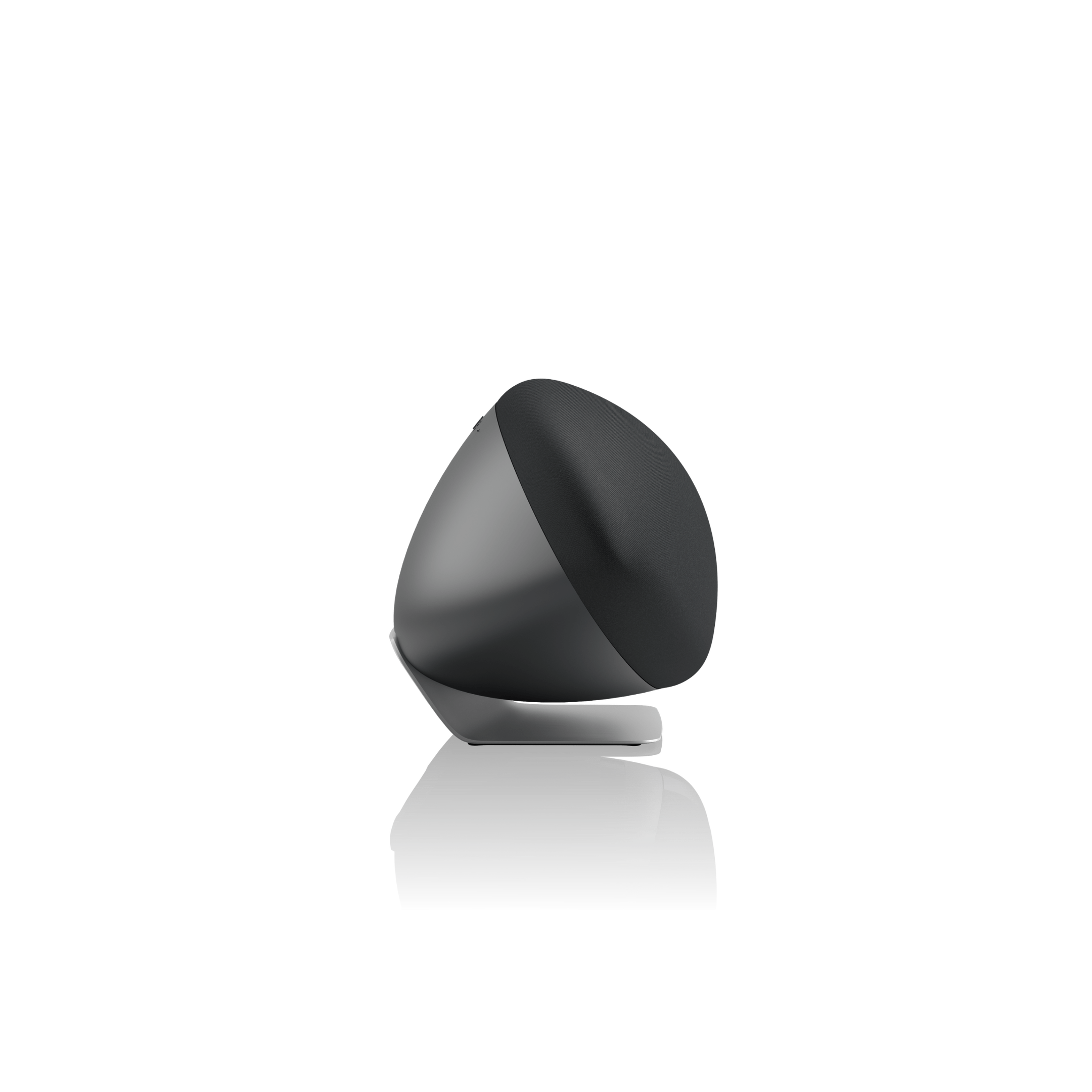 Bowers & Wilkins Zeppelin Pro Edition