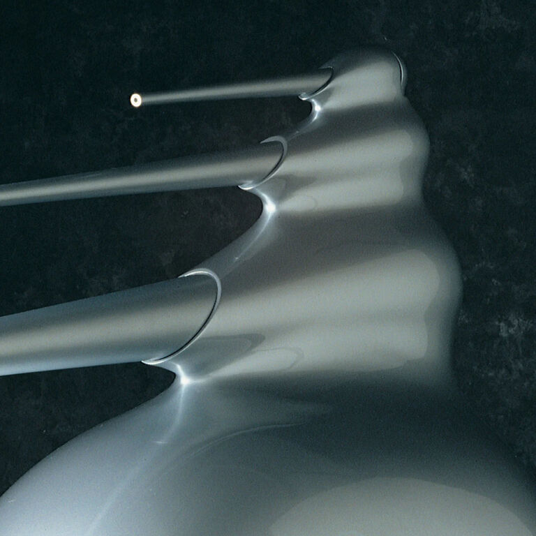 Nautilus, Silver, dynamic