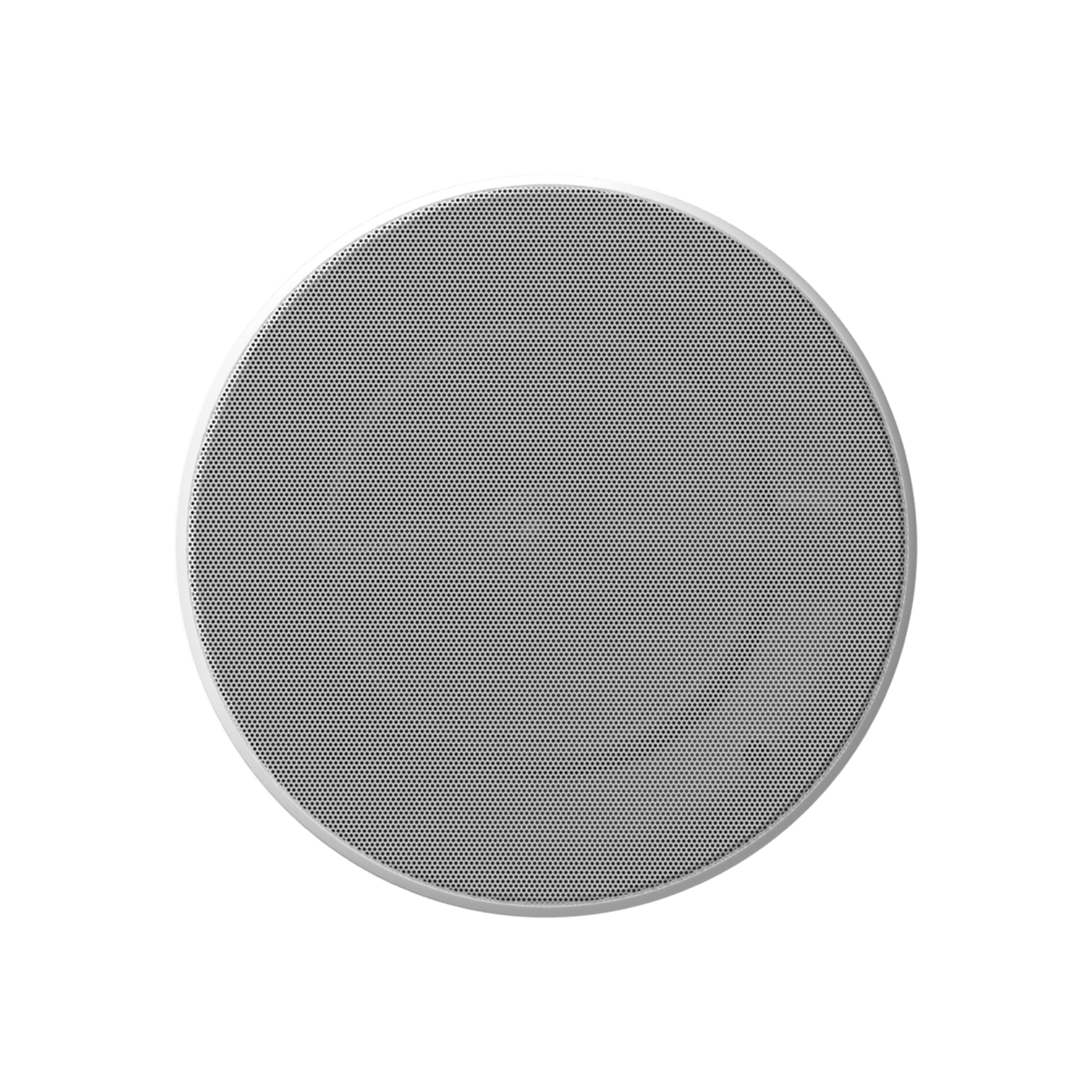 Marine 8, White, dynamic