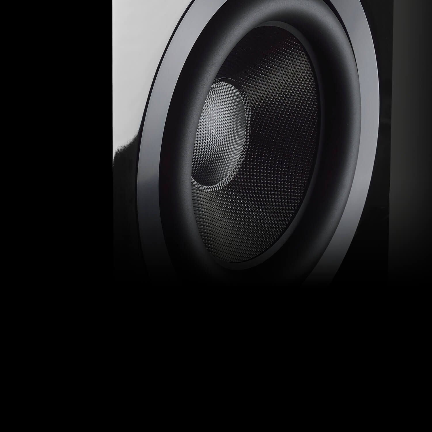 Dedicated to True Sound - closeup of a speaker