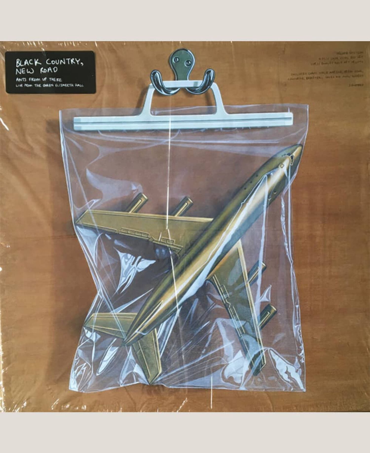 Gold plane figurine in plastic bag hanging on hook